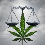 Shutterstock Marijuana Law Scaled